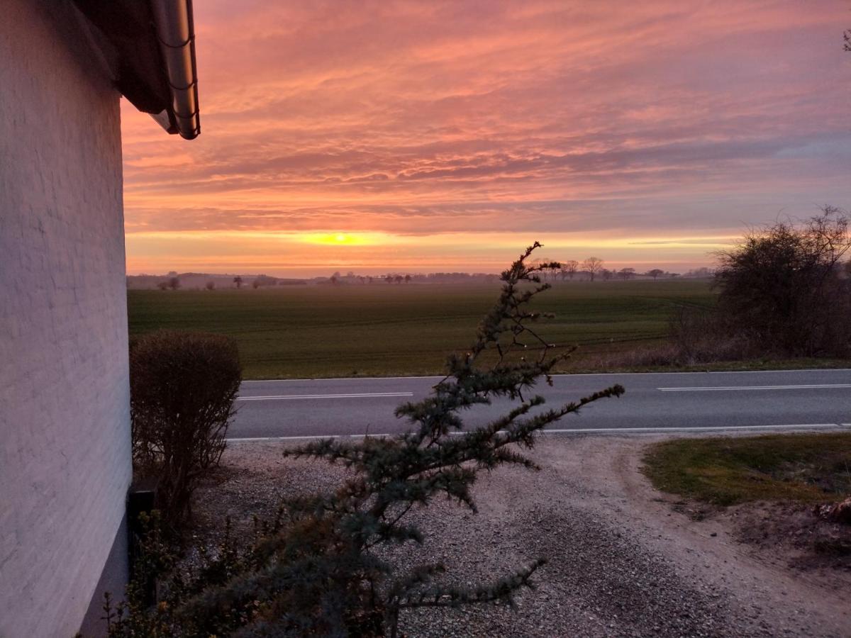 Hus Ved Skov Apartman Ejby  Kültér fotó